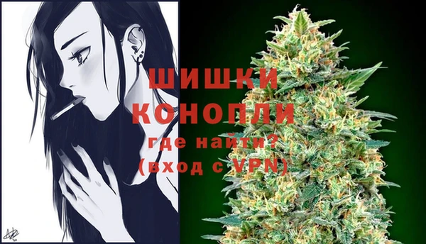 spice Пересвет
